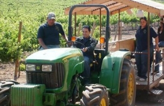 Recolecta de la uvas